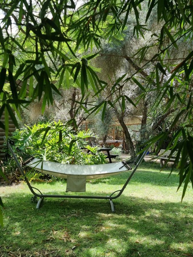 A Place To Dream Tsipori Ngoại thất bức ảnh
